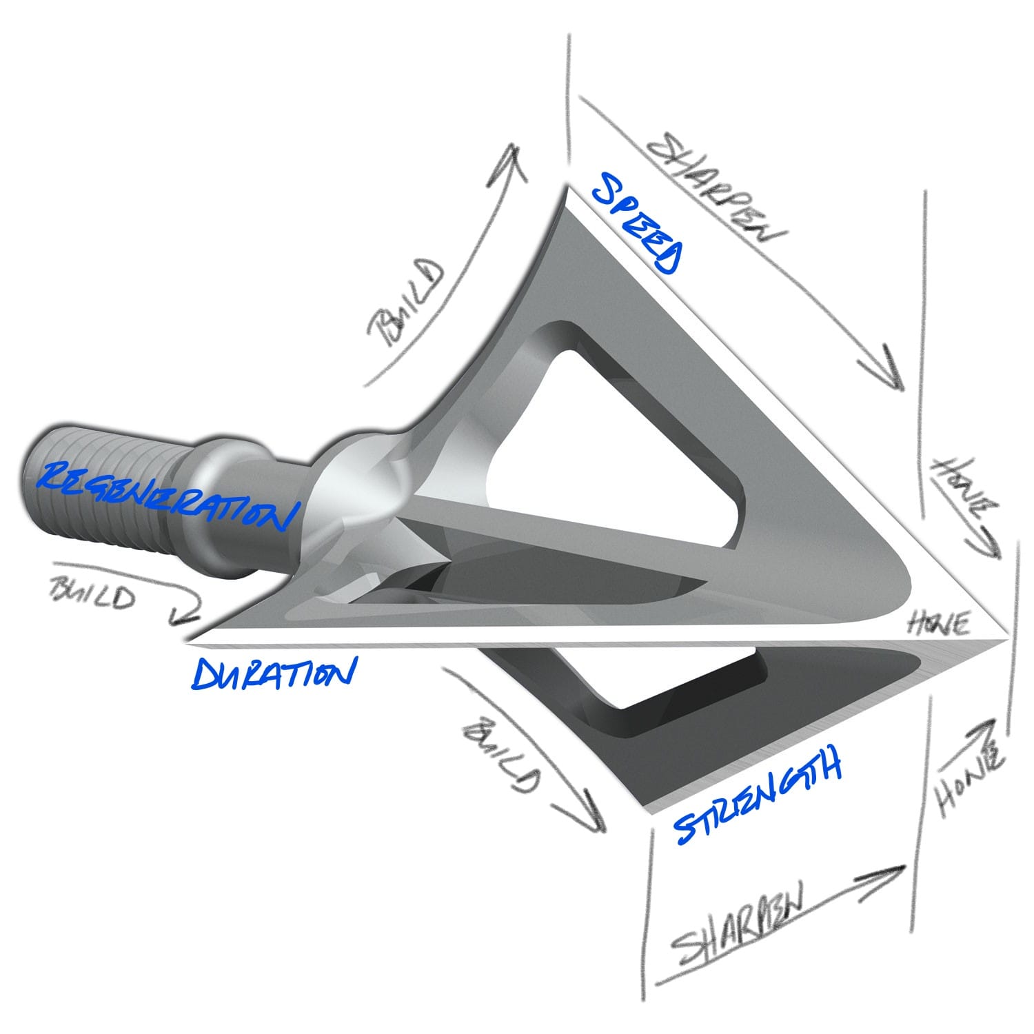 What is Arrowhead Endurance?