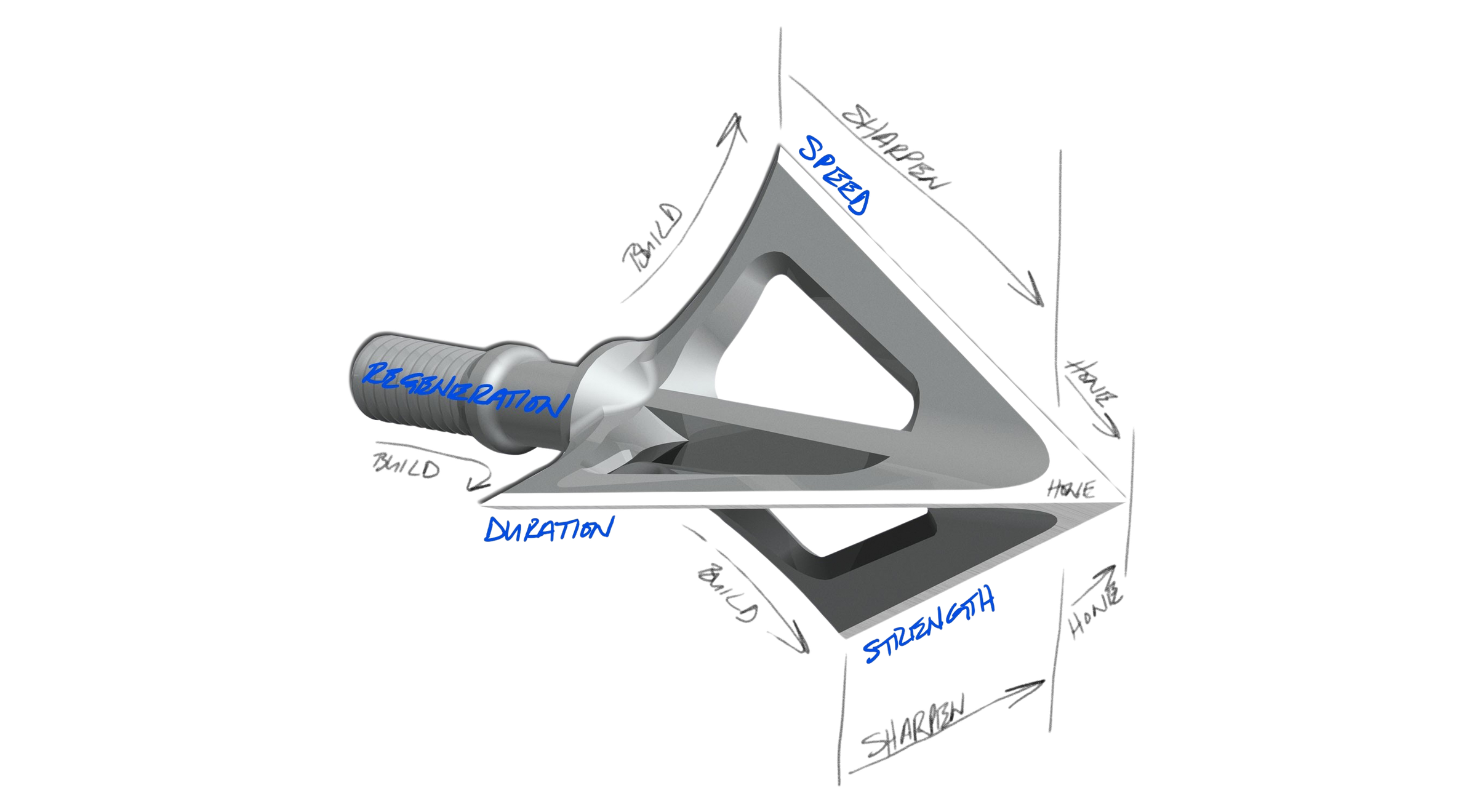 What is Arrowhead Endurance?